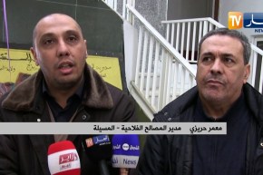 المسيلة : وصول الدفعة الأولى من لقاح داء المجترات الصغيرة