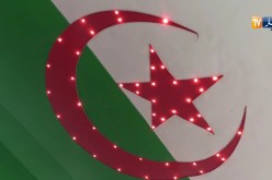 السيارات القديمة.. حكاية مركبات لم تكبح عجلاتها السنوات