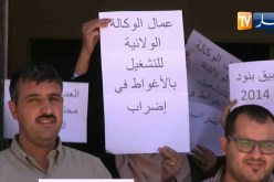 الأغواط :عمال الوكالة الولائية للتشغيل يحتجون طلبا في تحسين ظروفهم المهنية