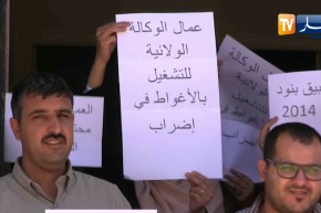 الأغواط :عمال الوكالة الولائية للتشغيل يحتجون طلبا في تحسين ظروفهم المهنية