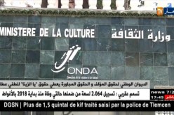الديوان الوطني لحقوق المؤلف والحقوق المجاورة يعطي حق “يا الزينا” للطفي عطار