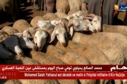 تيارت : أخبار عن إنتشار الأمراض وسط الماشية تثير غضب الموالين أياما قبل العيد