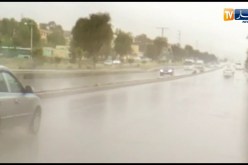 أمطار غزيرة بولاية سعيدة في عزّ فصل الربيع