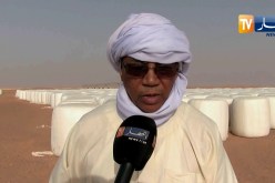 أدرار: غياب ميكانزمات التسويق يعيق النشاطات الفلاحية
