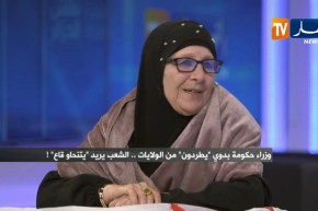 نقاش الجزائر: وزراء حكومة بدوي “يطردون” من الولايات .. الشعب يريد “يتنحاو قاع” !