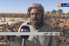 الوادي/ مجهولون يحرقون منتوج وعتاد إحدى المزارع بمنطقة غمزة بقمار