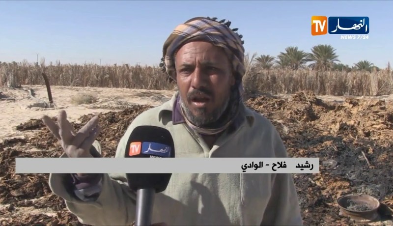 الوادي/ مجهولون يحرقون منتوج وعتاد إحدى المزارع بمنطقة غمزة بقمار