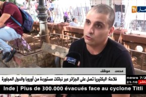 تكنولوجيا: تطبيقات على الهواتف الذكية سهلت حياة الجزائريين