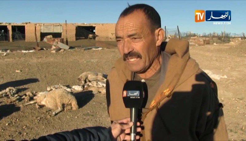 الجلفة/ موالون يتكبدون خسائر كبيرة بسبب تفشي داء طاعون المجترات الصغيرة