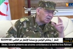 جيش: اليوم الثاني من زيارة الفريق أحمد قايد صالح للناحية العسكرية الأولى بالبليدة