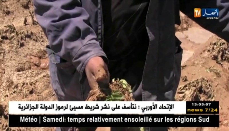 فلاحة: إنتشار الأوبئة وفساد المحاصيل الزراعية بسبب التقلبات الجوية