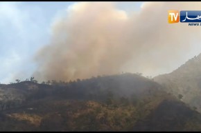 بجاية.. نشوب حرائق ملتهمة الحقول و أشجار الزيتون بالمناطق الجبلية