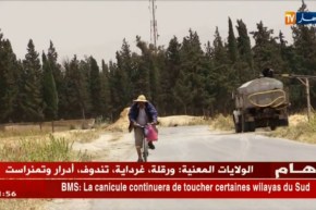 النشرة الأمازيغية ليوم 09 جويلية 2018