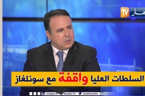 شاهر بولخراص: أولوية سونلغاز هي المرفق العام والدولة ساهرة على تمويل المشاريع والبرامج التنموية