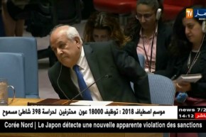 مجلس الأمن يصوت على قرار يحمي الفلسطينيين.. وواشنطن تلوح بإستخدام “الفيتيو”