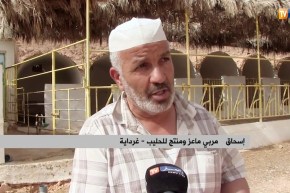 غرداية: تهجين الماعز الحلوب بـ 6 لترات يوميا.. تجارة ناجحة