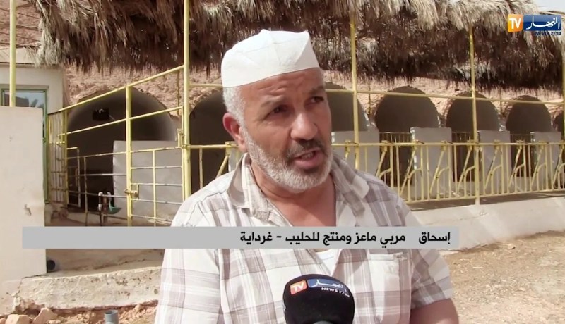 غرداية: تهجين الماعز الحلوب بـ 6 لترات يوميا.. تجارة ناجحة