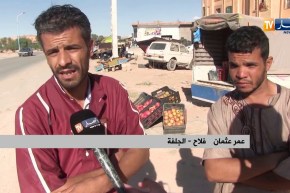 فلاحة/ إنتاج الرمان..تكاليف عالية..أسعار مرتفعة وفلاح يعاني