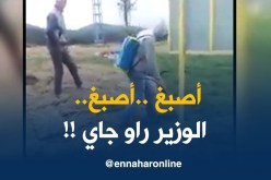 علم كبير وصلوا ليه في أحد البلديات بباتنة.. يصبغوا الأرض باللون الأخضر !!
