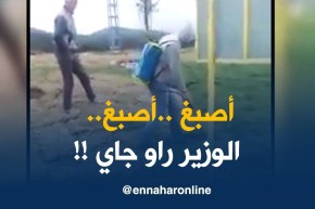 علم كبير وصلوا ليه في أحد البلديات بباتنة.. يصبغوا الأرض باللون الأخضر !!