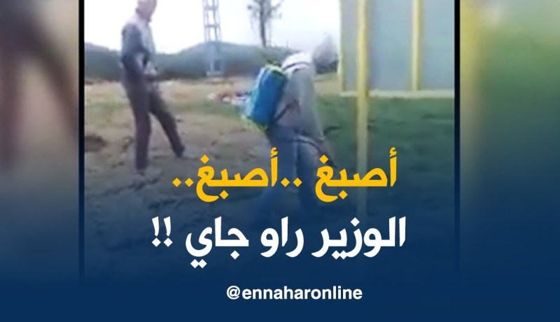 علم كبير وصلوا ليه في أحد البلديات بباتنة.. يصبغوا الأرض باللون الأخضر !!