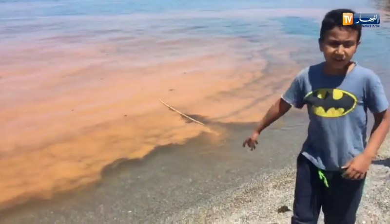 شاهد..”بقع حمراء تثير مخاوف المواطنين بالشواطئ الوسطى بالعاصمة”