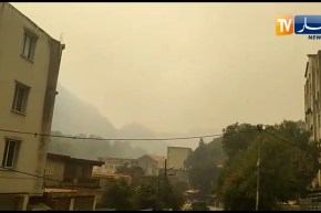 بجاية ..حرائق تشتعل في غابات بلدية درقينة وتهدد منازل المواطنين