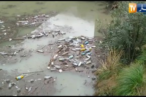 بجاية: شاهد تكدس النفايات بحاجز مائي جرفتها مياه الأمطار الأخيرة