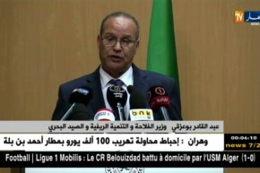 بوعزقي: مجهودات الدولة متواصلة في مجال تصدير الخضر والفواكه