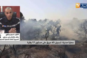 حماية مدنية: تسجيل 65 حريق على مستوى 17 ولاية