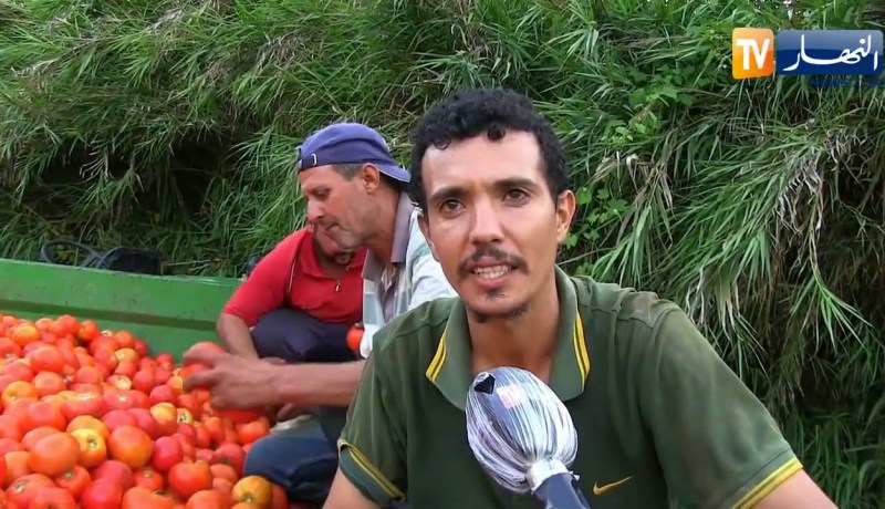 جيجل: توزيع الطماطم بالمجان على المحتاجين عشية عيد الأَضحى