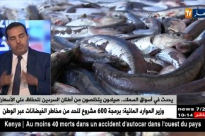 يحدث في أسواق السمك.. صيادون يتخلصون من أطنان السردين للحفاظ على الأسعار !!