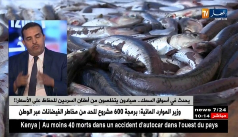 يحدث في أسواق السمك.. صيادون يتخلصون من أطنان السردين للحفاظ على الأسعار !!