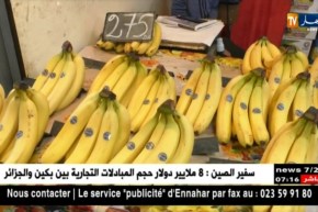من المستهلك: أسعارالفواكه بسوق الحراش