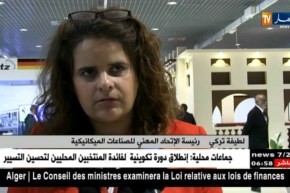 صناعة : منع الإستيراد ينعش الإستثمار في مجال تصنيع البلاستيك