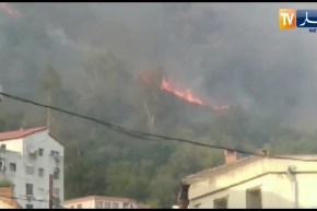 بجاية: شاهد عينة من الحرائق المهولة التي إجتاحت غابات عدة من مناطق الولاية