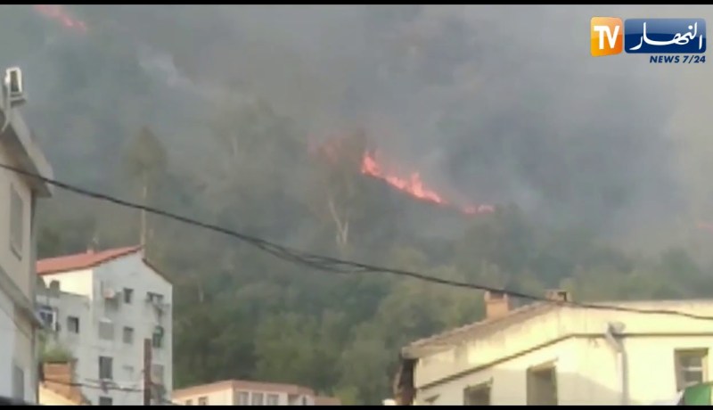 بجاية: شاهد عينة من الحرائق المهولة التي إجتاحت غابات عدة من مناطق الولاية