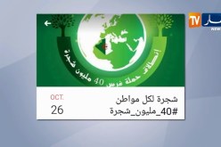 “الميراث الأخضر” حملة وطنية لغرس 40 مليون شجرة يوم 26 أكتوبر