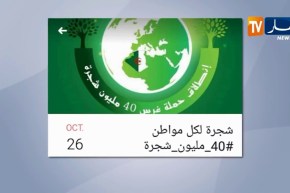 “الميراث الأخضر” حملة وطنية لغرس 40 مليون شجرة يوم 26 أكتوبر