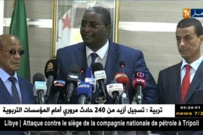 وزير السياحة: “تسهيلات مرتقبة تتعلق بمنح تأشيرات الفيزا للأجانب”