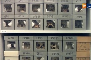 الجزائر تسترجع 24 رفاة من قادة المقاومة الشعبيةد