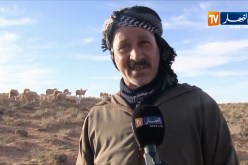 فلاحة/ طاعون المجترات الصغيرة أم الحمى القلاعية…أين اللقاح؟