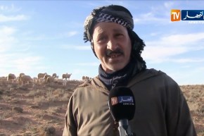 فلاحة/ طاعون المجترات الصغيرة أم الحمى القلاعية…أين اللقاح؟