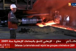 مجلس مساهمات الدولة يصادق على جملة قرارات لإنعاش مركب الحجار