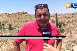 باتنة: مواطنون يشترون الأضاحي مباشرة من الموالين هروبا من مخاطر التسمين