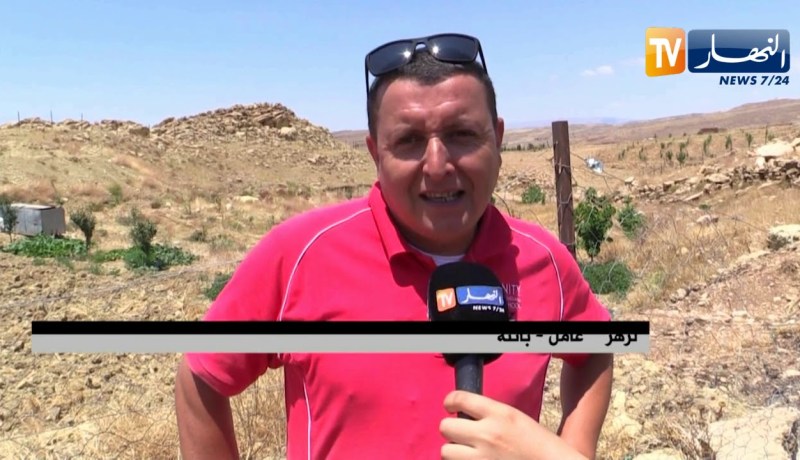 باتنة: مواطنون يشترون الأضاحي مباشرة من الموالين هروبا من مخاطر التسمين