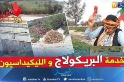 طالع هابط: طاحت الشتاء فضحتهم..  مشروع الملايير داه الواد..  شاهد