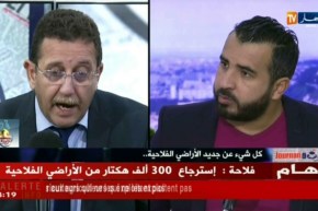 فلاحة: إسترجاع 300 ألف هكتار من الأراضي الفلاحية