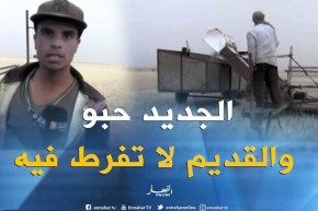 تيارت/ فلاحون يحافظون على إستخدام “سبيكادور” آلة الحصاد القديمة