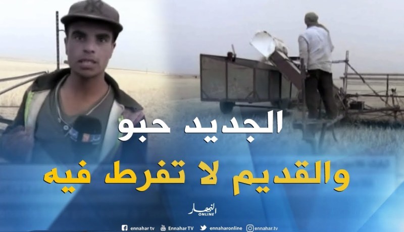تيارت/ فلاحون يحافظون على إستخدام “سبيكادور” آلة الحصاد القديمة
